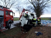 Ciężarówka wjechała w drzewo. Kierowca z Czech zginął na miejscu.