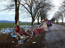 Ciężarówka wjechała w drzewo. Kierowca z Czech zginął na miejscu.