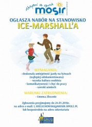 Potrafisz dobrze jeździć na łyżwach? Zostań Ice-Marshall'em!