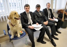 W walce z przedegzaminacyjnym stresem pomoże... pies