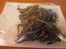 Wpadł podczas kontroli drogowej. W domu miał amfetaminę, marihuanę i grzybki.