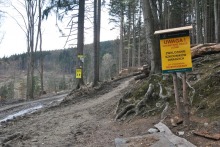 Biskupia Kopa "łysieje" przez kornika