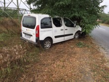 Peugeot uderzył w drzewo