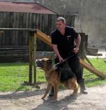 Policyjny pies wytropił włamywacza