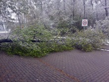 Na Opolszczyznę wróciła zima