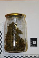 60-latka miała w mieszkaniu narkotyki i krzak konopi indyjskiej