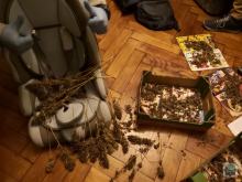 W bagażniku volkswagena znaleźli blisko 300 gramów marihuany