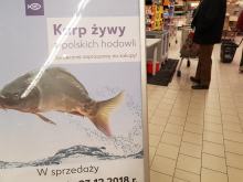 W wielu marketach nie kupimy już żywego karpia, w niektórych jednak nadal jest pakowany do siatek