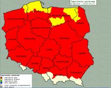Od poniedziałku do lasu? Nie! 