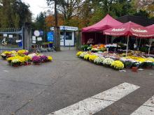 Opolanie  ruszyli odwiedzać cmentarze