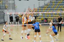 Wilczyce minimalnie lepsze od Tygrysic