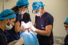 Przeszczep włosów w Turcji - czy warto?