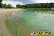 Zakwit sinic w Jeziorze Średnim w Turawie. Obowiązuje zakaz kąpieli