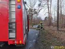 Meteorolodzy wydali ostrzeżenia przed porywistym wiatrem!