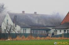 Ponad 800 krzaków konopi ujawniono podczas pożaru poddasza w Bierdzanach
