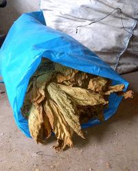 Kryminalni zabezpieczyli nielegalny tytoń oraz papierosy