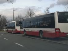 Autobusy MZK wracają do normalnego kursowania