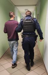 Zlikwidowali plantację marihuany