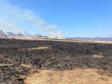 Coraz więcej pożarów traw w regionie