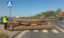 Utrudnienia na rondzie przy wjeździe na obwodnicę Nysy. Wywróciła się ciężarówka z drewnem