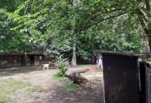 Brak zwierząt... plastikowa koza i krowa. Czytelnicy pytają, co się stało z opolskim Mini Zoo