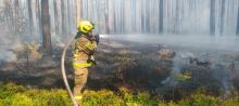 Pożar lasu w powiecie brzeskim. W akcji samolot gaśniczy Lasów Państwowych
