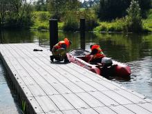 Kolejny dzień trwa akcja odławiania śniętych ryb na Kanale Gliwickim