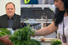 Poseł PiS twierdzi, że ceny spadają. Bo tańsza jest... pietruszka