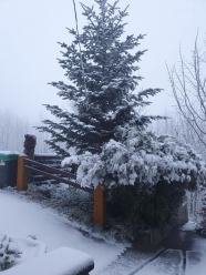 Mamy pierwszy śnieg na Opolszczyźnie. Zimowa aura na Biskupiej Kopie