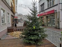 Przed Talentownią tradycyjnie stanęła choinka życzeń. Jest wiele marzeń do spełnienia!