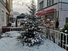 Małe-wielkie marzenia bezdomnych i dzieci z domów dziecka wiszą na Choince Życzeń