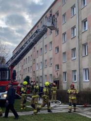 Pożar mieszkania w Brzegu. Ewakuowano mieszkańców 