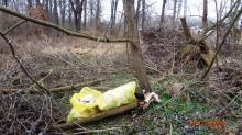 Wyrzucił śmieci do lasu. Służby szybko znalazły śmieciarza, bo zostawił dane