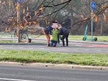 Potrącenie na oznakowanym przejściu na ulicy Cieszyńskiej