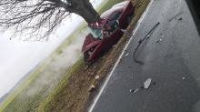 Samochód uderzył w drzewo na trasie Stradunia-Żużela