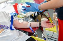 Blisko 20 litrów krwi zebrali studenci podczas Wampiriady