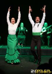 Hiszpańska Compania de Danza Flamenco już w najbliższą niedzielę w Opolu (WIDEO)