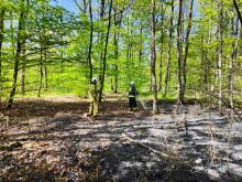 7 zastępów straży pożarnej walczyło z pożarem lasu w Smolarniku