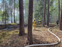 Zerwana linia wysokiego napięcia przyczyną pożaru lasu