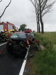 Kierowca citroena uderzył w drzewo. Niebezpieczne zdarzenie na DK 42