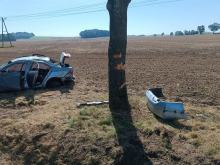 Nietrzeźwy 39-latek rozbił auto na drzewie i uciekł