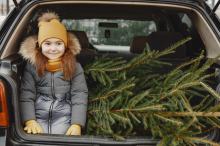  Jak bezpiecznie przewieźć choinkę, aby uniknąć mandatu?
