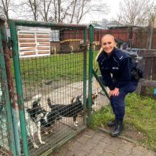Policjanci z pomocą porzuconym zwierzakom