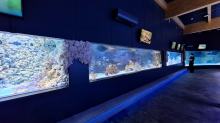 Ponad 700 lokatorów opolskiego akwarium. Obiekt w zoo będzie czynny na wiosnę