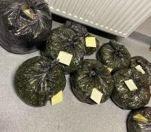 Wpadł z narkotykami podczas interwencji domowej. Policjanci zabezpieczyli 3 kg narkotyków