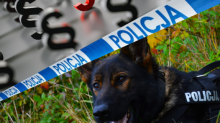 Podejrzany o bestialskie zabicie psa już z zarzutami