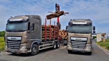 Przeciążony transport drewna zatrzymany przez Inspekcję Transportu Drogowego
