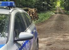 Zwłoki w lesie między Dobrzeniem Wielkim a Kup. Trwa ustalanie tożsamości zmarłego