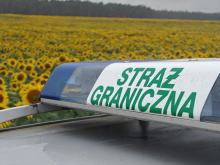 Straż Graniczna: 49 cudzoziemców wykonywało pracę nielegalnie