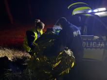 Zaginął podczas grzybobrania - szczęśliwy finał poszukiwań 87-latka z gminy Pokój